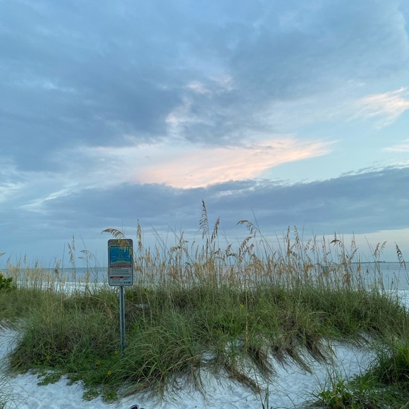 Meet your Posher, Jordie - Picture 1 of 1